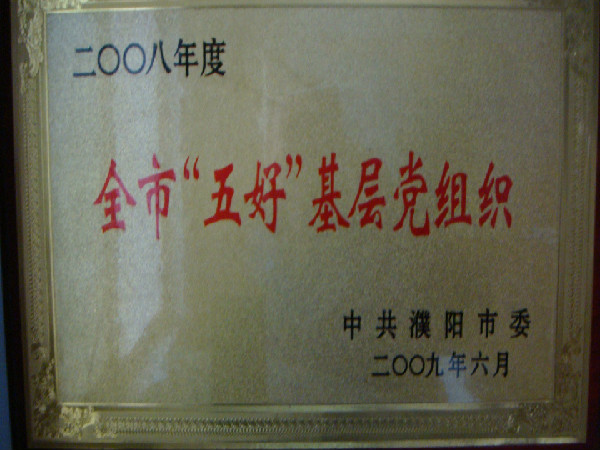 2008年度全市“五好”基层党组织（中共濮阳市委）