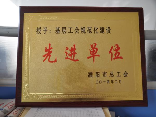 基层工会规范化建设先进单位（濮阳市总工会颁发）